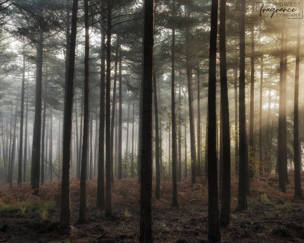 FOREST RIDGE