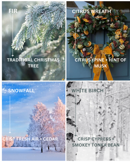 SEASONAL - WINTER