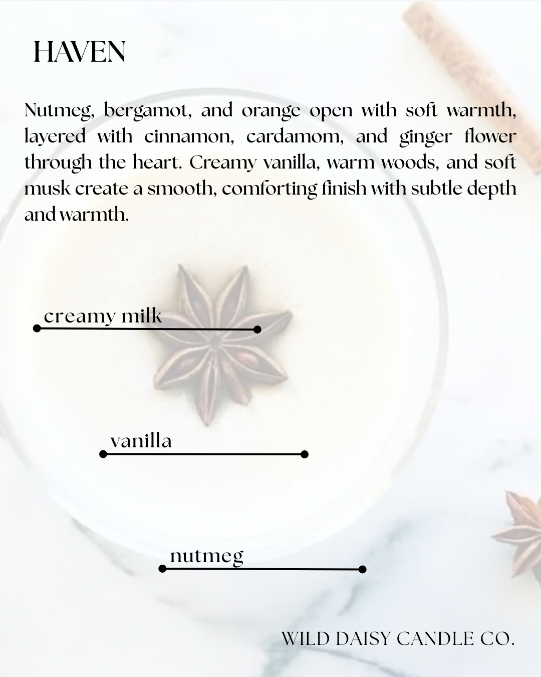 WICKLESS CANDLE 8oz