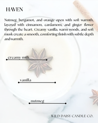 WICKLESS CANDLE 8oz