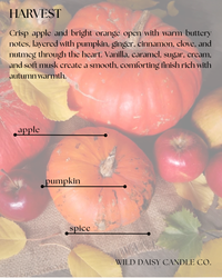 LIMITED EDITION 10oz PUMPKIN VESSELS