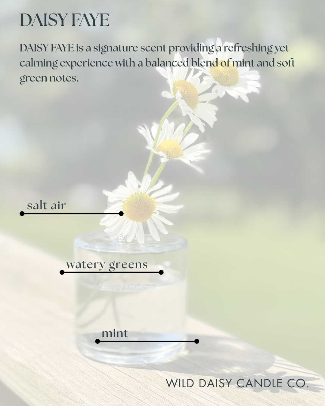 MINI DIFFUSER