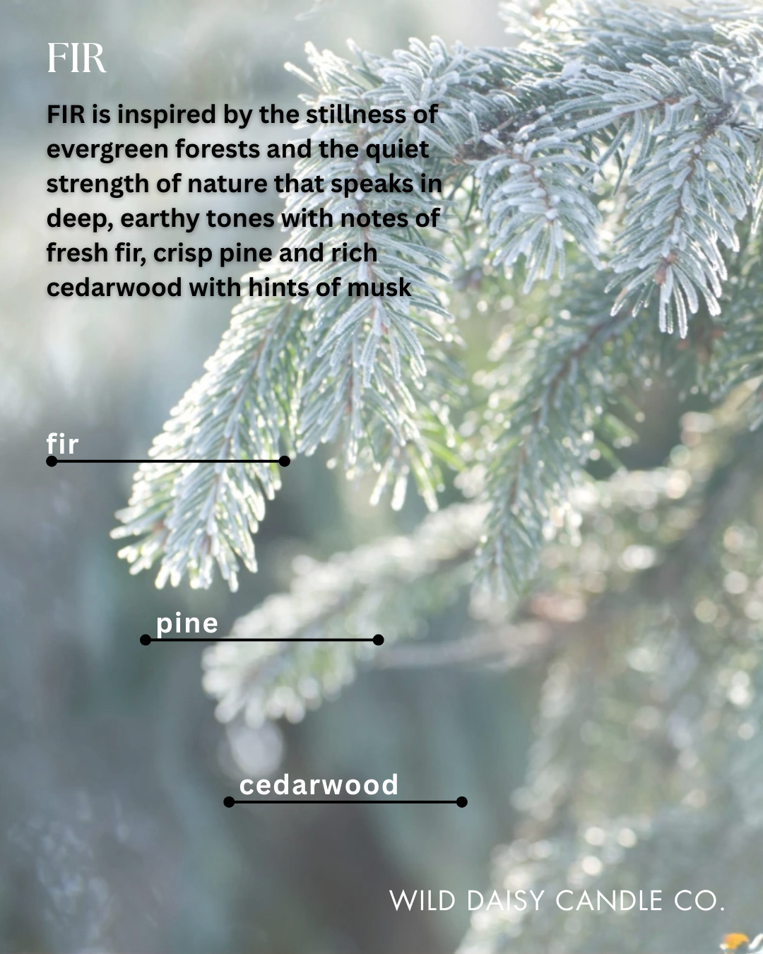 SALE. WINTER - WILD DAISY 16oz JAR CANDLE