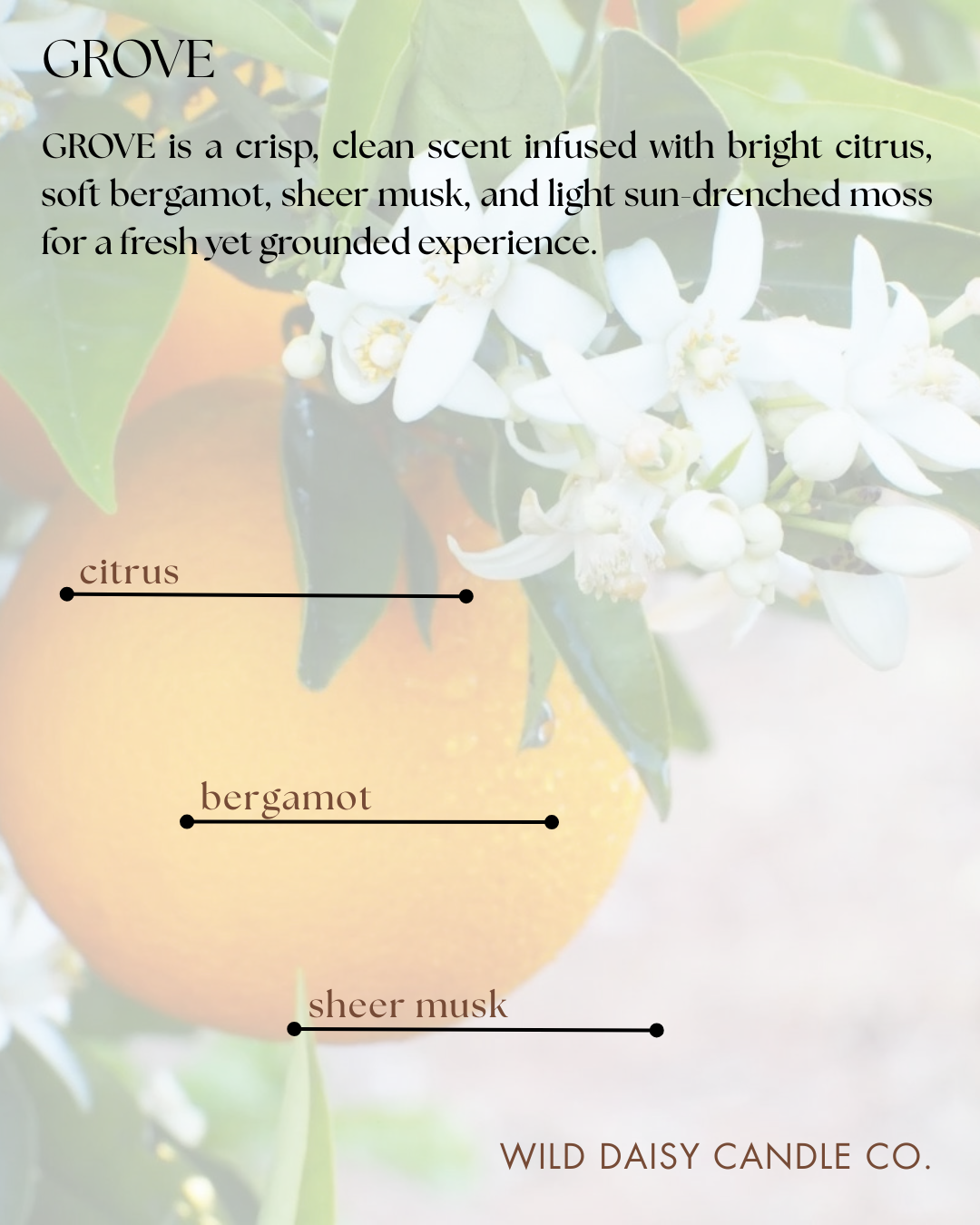 MINI DIFFUSER